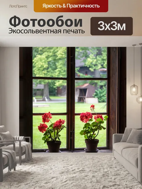 Фотообои Цветы в окне