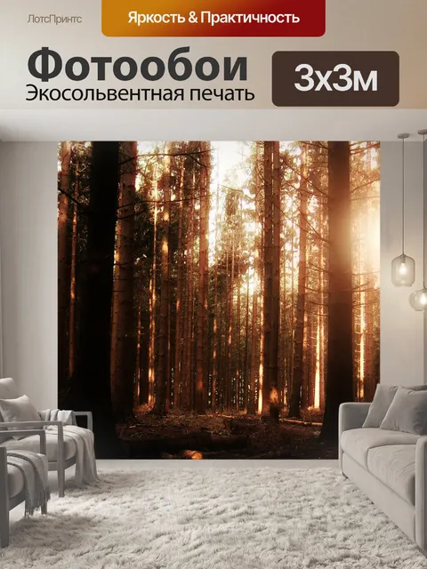 Фотообои Лес