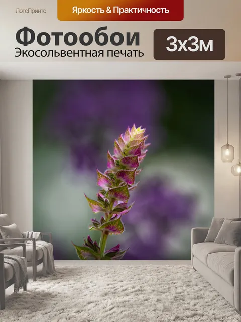 Фотообои Растение, цветок, фиолетовые листья