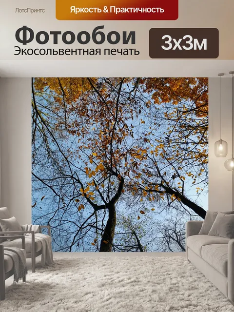Фотообои Деревья