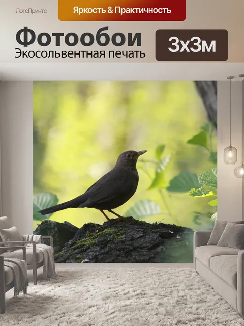 Фотообои Птица