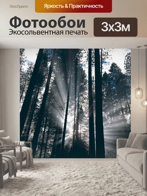 Фотообои Туман