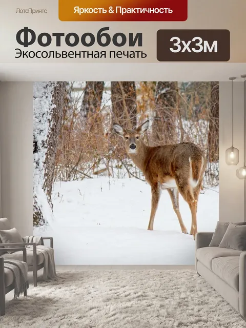 Фотообои Олень в лесу 2