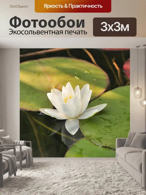 Фотообои Озеро