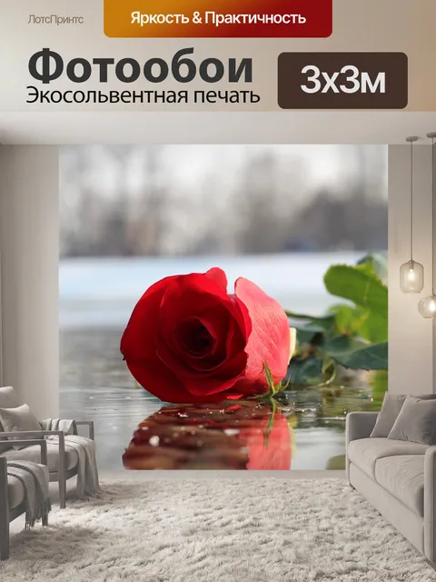 Фотообои Красная роза на льду