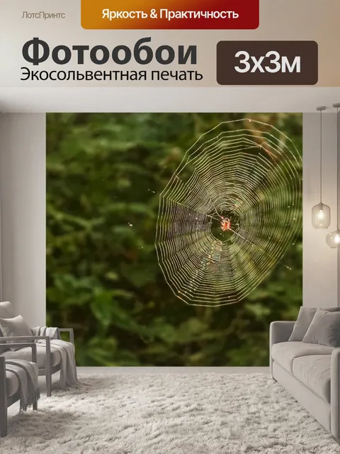 Фотообои Паук
