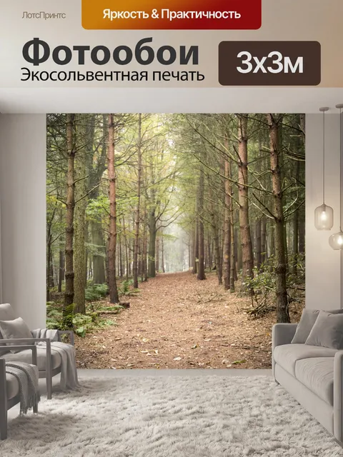 Фотообои Туманный лес