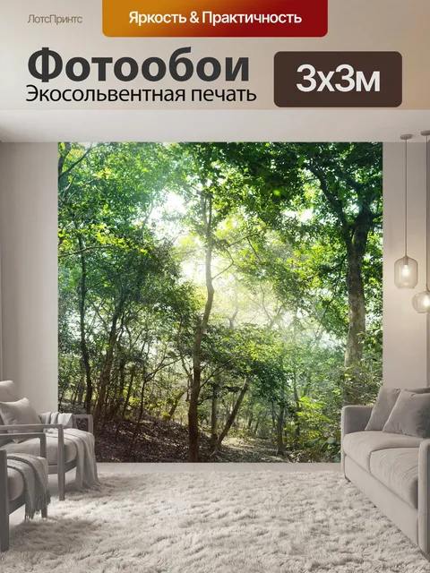Фотообои Деревья и листья 27