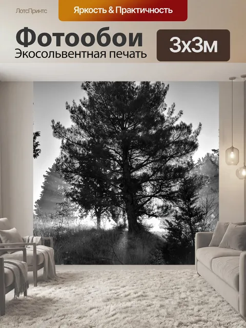 Фотообои Туман