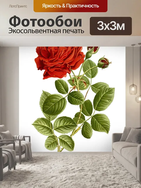Фотообои Роза цветок цвести винтаж