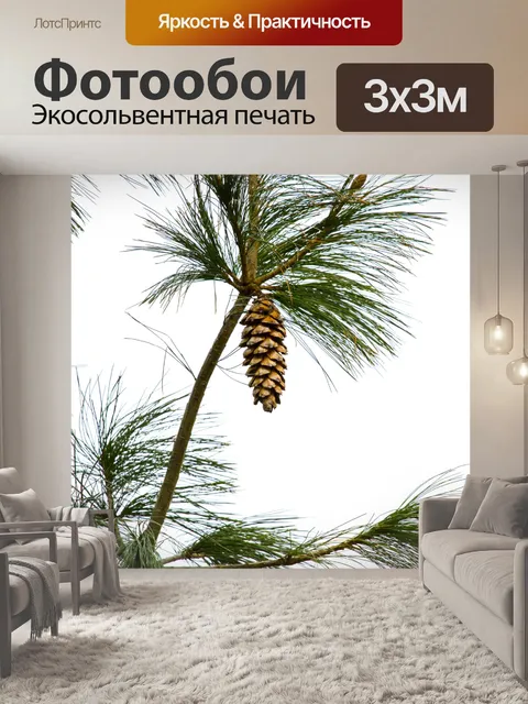Фотообои Свиная сосна с конусом