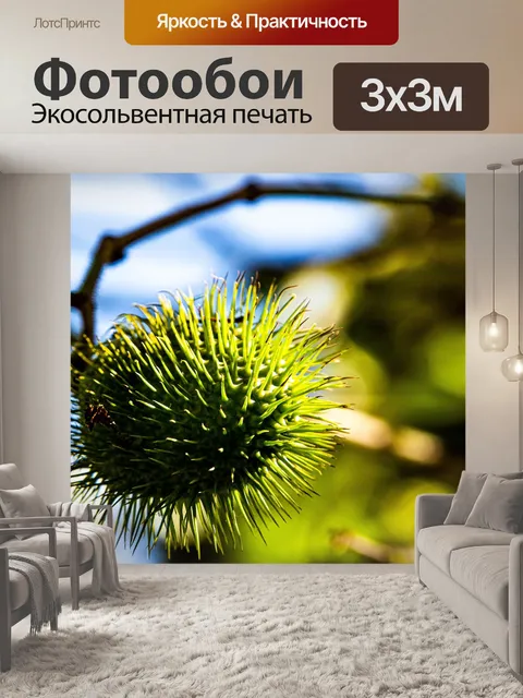 Фотообои Глубина