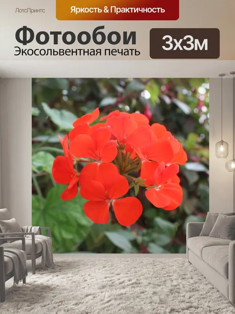 Фотообои Цветы