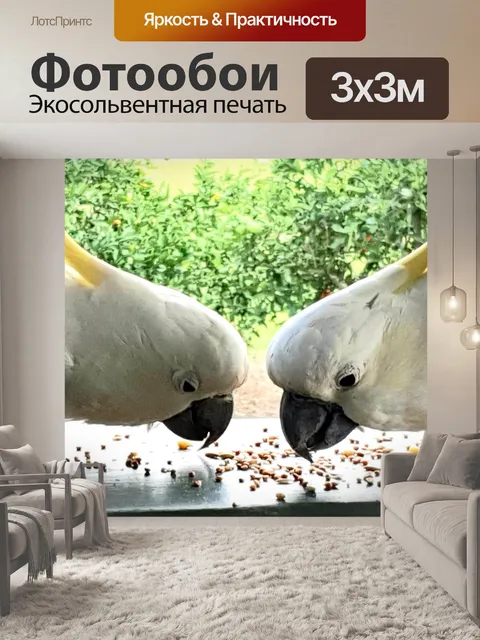 Фотообои Птицы