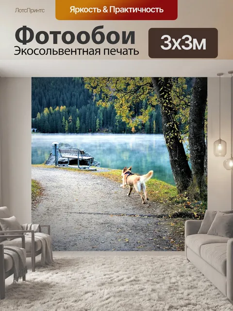 Фотообои Утро