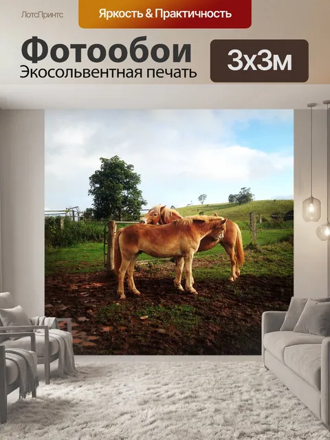 Фотообои Лошади