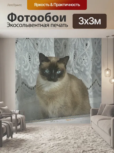 Фотообои Кошачьи глаза