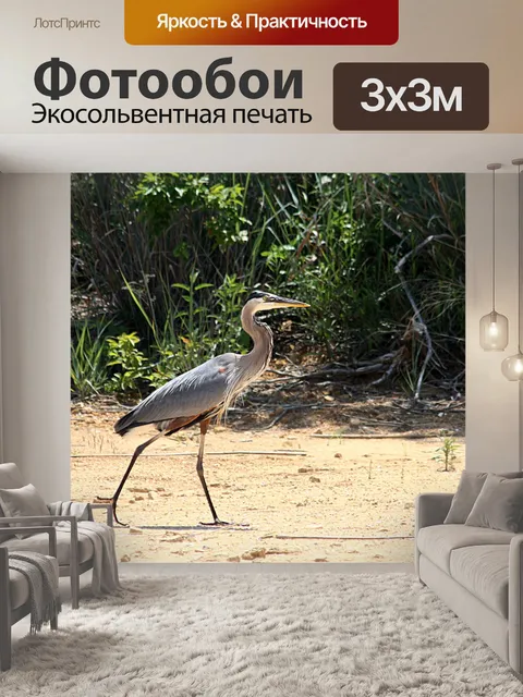 Фотообои Большая голубая цапля Прогулка по пляжу