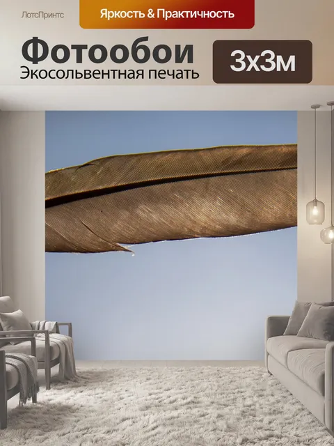 Фотообои Птица
