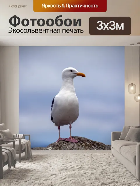Фотообои чайка