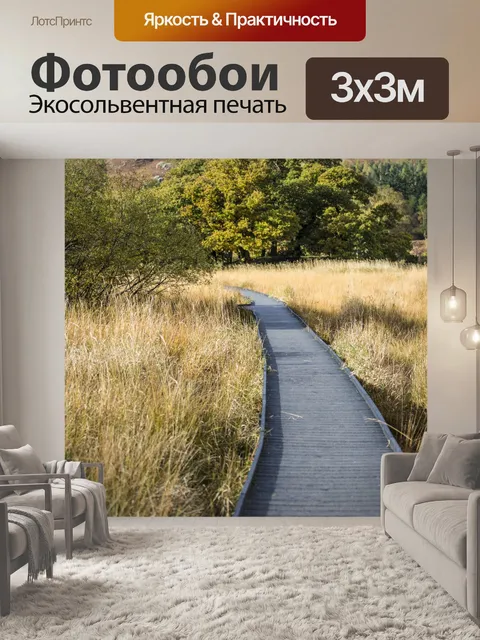 Фотообои Деревянный тротуар и трава Осень