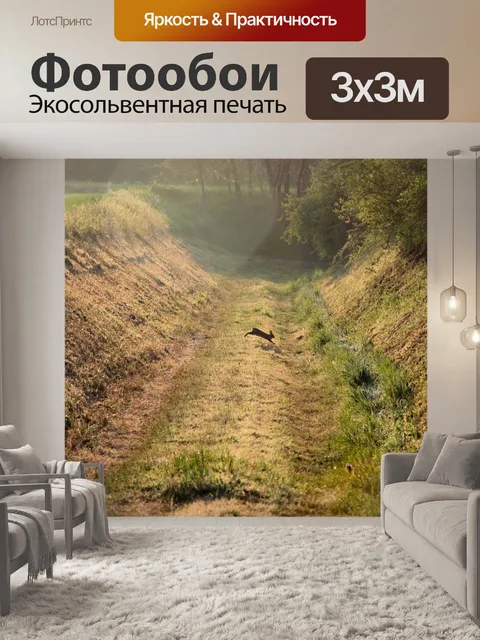 Фотообои Заяц