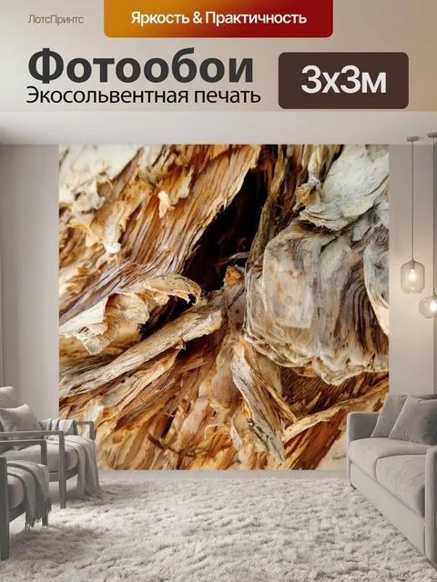 Фотообои Фон дерева коры