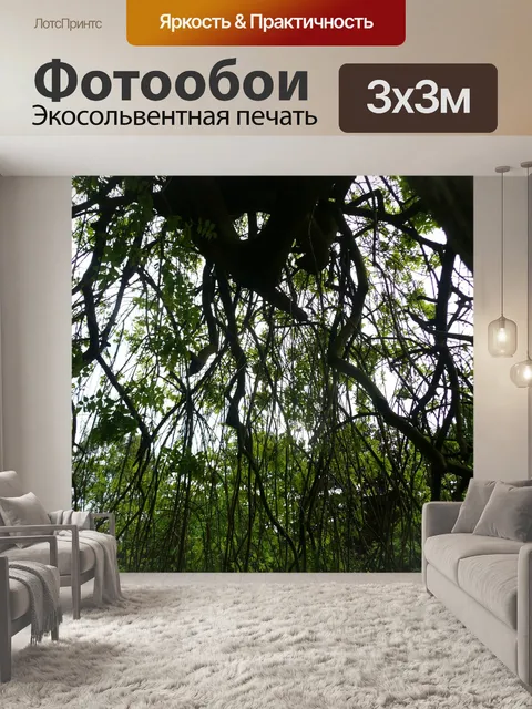 Фотообои Лес