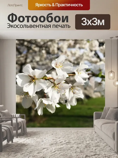 Фотообои Цветы