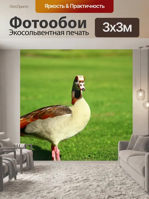 Фотообои Трава