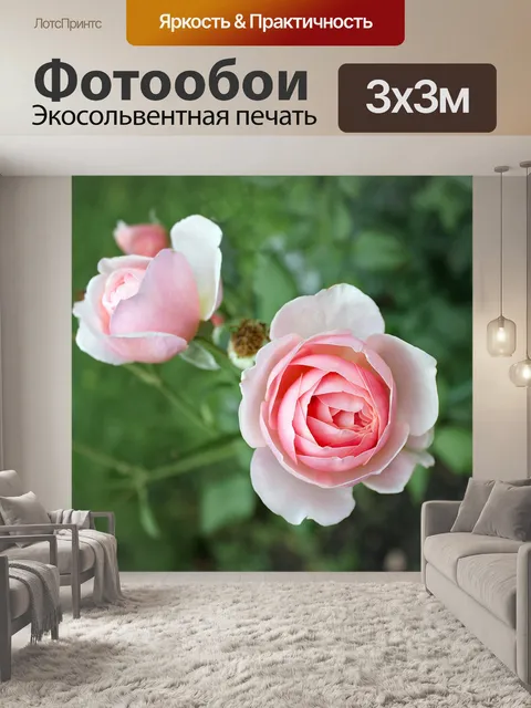 Фотообои Природа