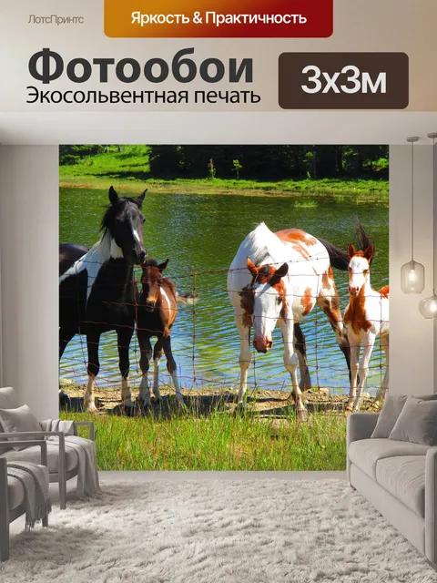 Фотообои Лошади