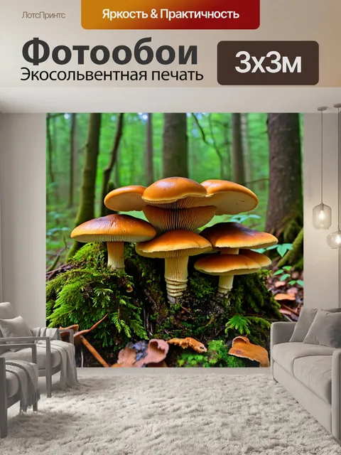 Фотообои грибы биология: экосистема леса с множеством видов грибов, взаимодействующих с деревьями и растениями
