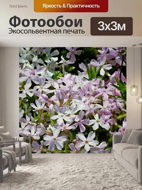 Фотообои Цветы