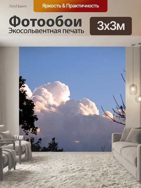 Фотообои деревья в силуэте с большими облаками
