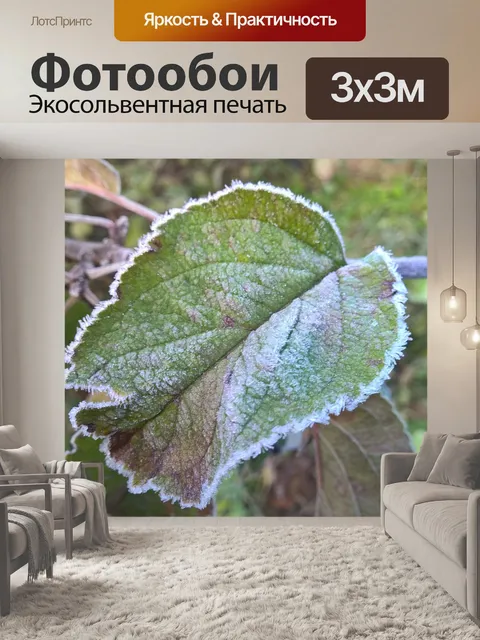 Фотообои Листья
