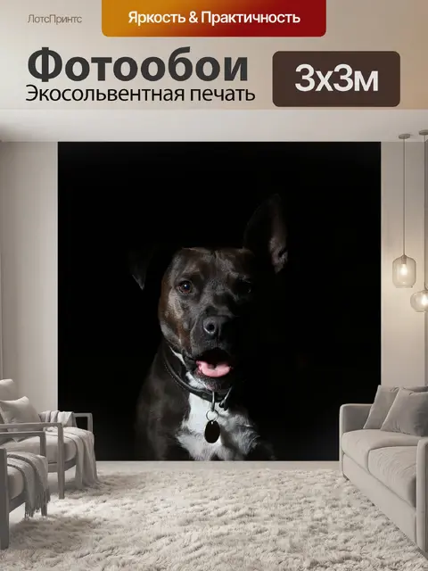 Фотообои Собака