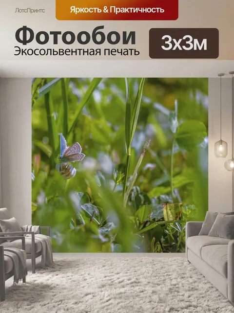 Фотообои Бабочка