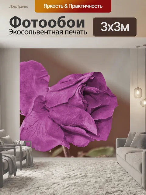 Фотообои Розы