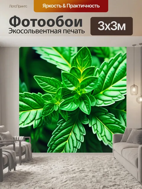 Фотообои с травами