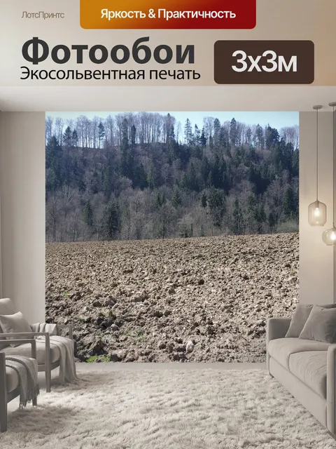 Фотообои Поля