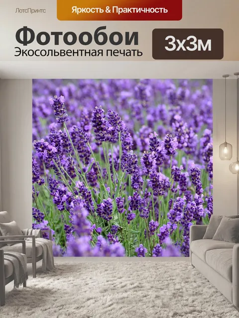 Фотообои Лаванда
