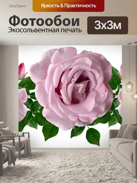 Фотообои Цветы