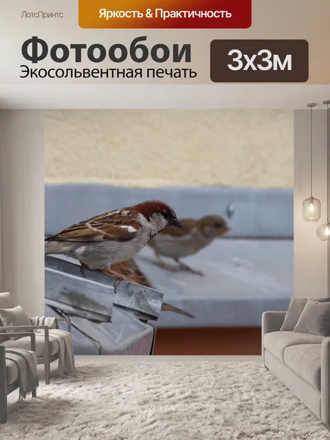 Фотообои Птицы