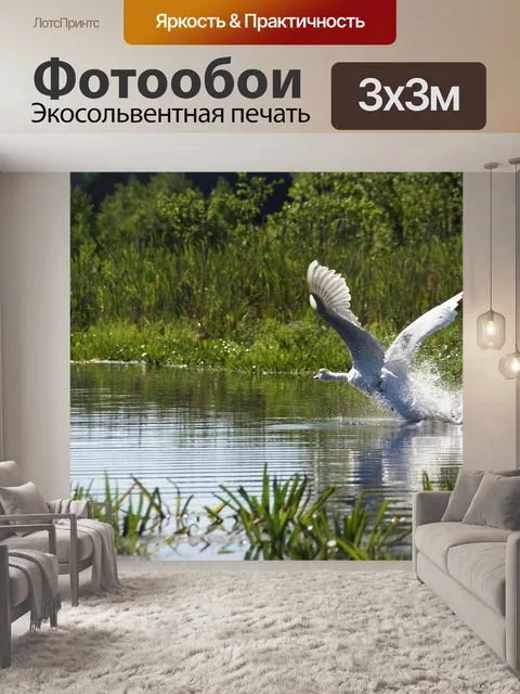 Фотообои Лебеди
