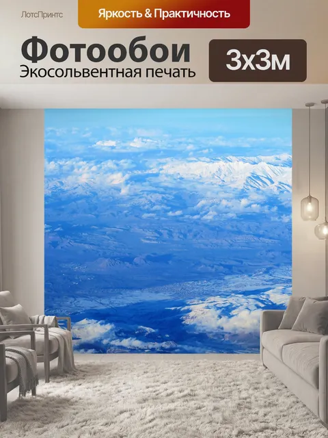 Фотообои С самолета