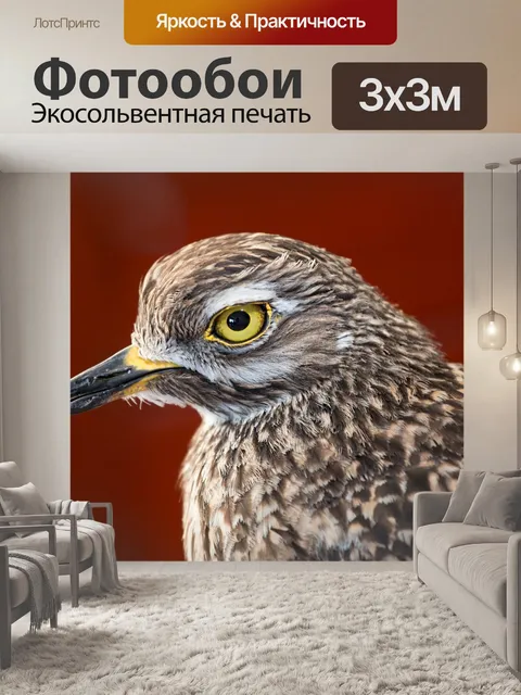Фотообои Птица