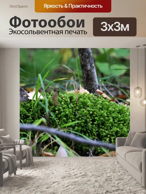 Фотообои Мох