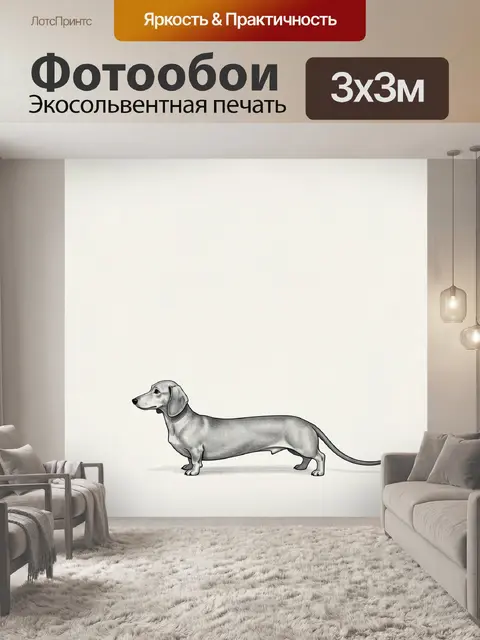 Фотообои Такса в профиль на светлом фоне