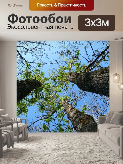 Фотообои Деревья
